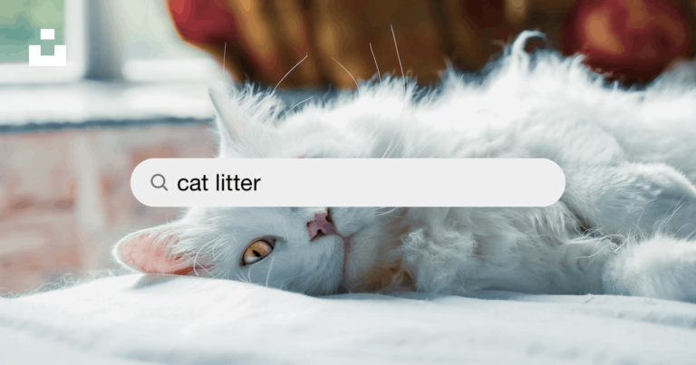 Best Cat Litter for Odor Control