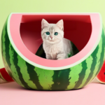Watermelon Cat Litter Box