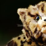 Leopard Cat Worth